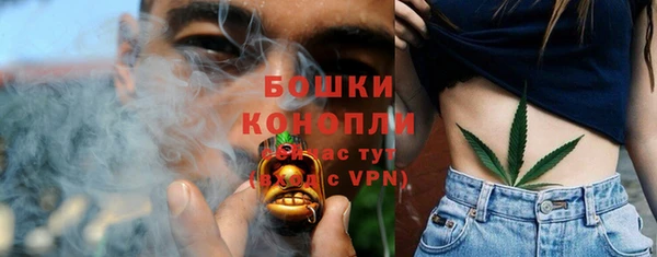 ECSTASY Гусев