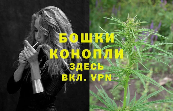 ECSTASY Гусев