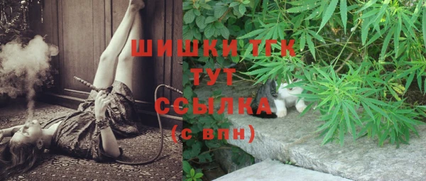 ECSTASY Гусев