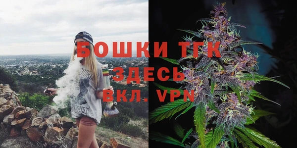 ECSTASY Гусев